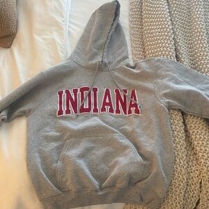 Champion Gray Hoodie with Red Lettering (from Indiana bookstore on campus)